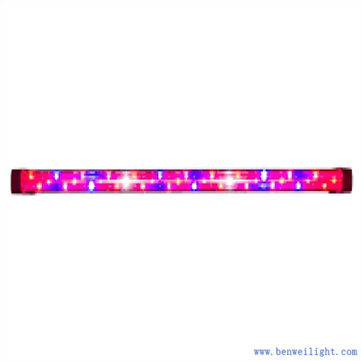 Grow Led Light