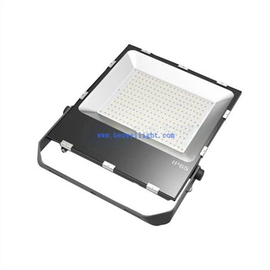 Defiant Security Flood Light