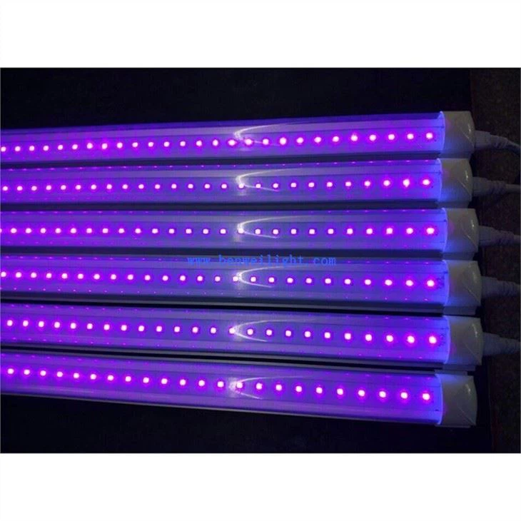 T8 Blacklight Tube