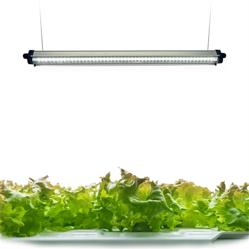 240 LED svetelných pásov na pestovanie rastlín v plnom spektre s automatickým časovačom zapnutia/vypnutia 3/9/12 hod.