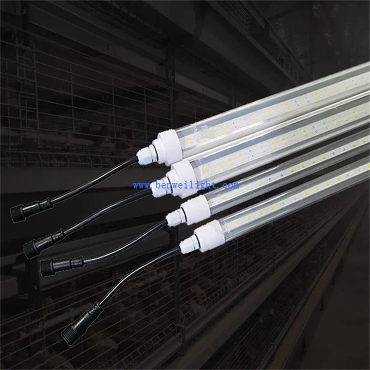 Henhouse Bright Light (3)