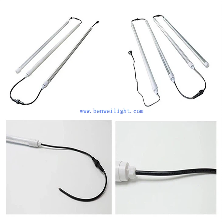 Homestead Poultry Lighting (3)