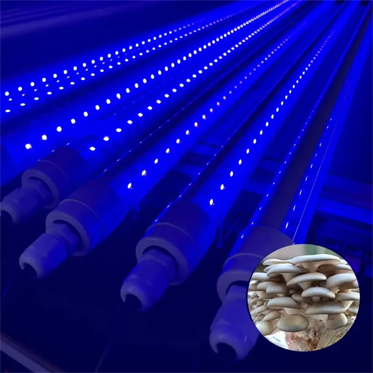 UVC+UVA duálna-lampa na rast rastlín s vlnovou dĺžkou - špecializovaná na pestovanie húb