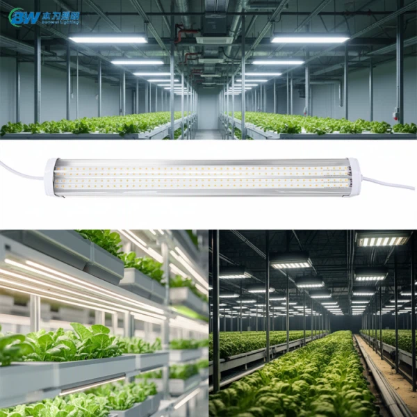 T20 Stmievateľné LED Grow Lineárne prepojiteľné svetlo IP65 20-88W